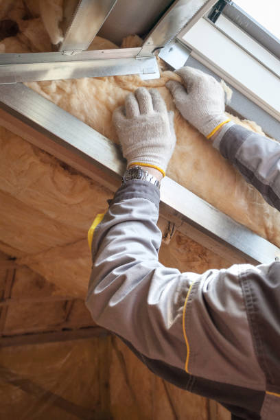 Best Insulation Removal  in Albany, TX