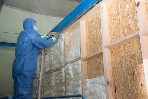 Best Spray Foam Insulation  in Albany, TX